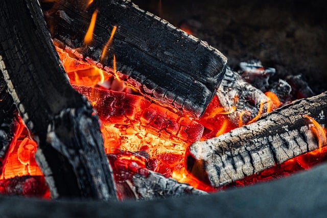 Fuel Sources for Offset Smokers